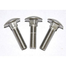 Stainless Steel Carriage Bolt